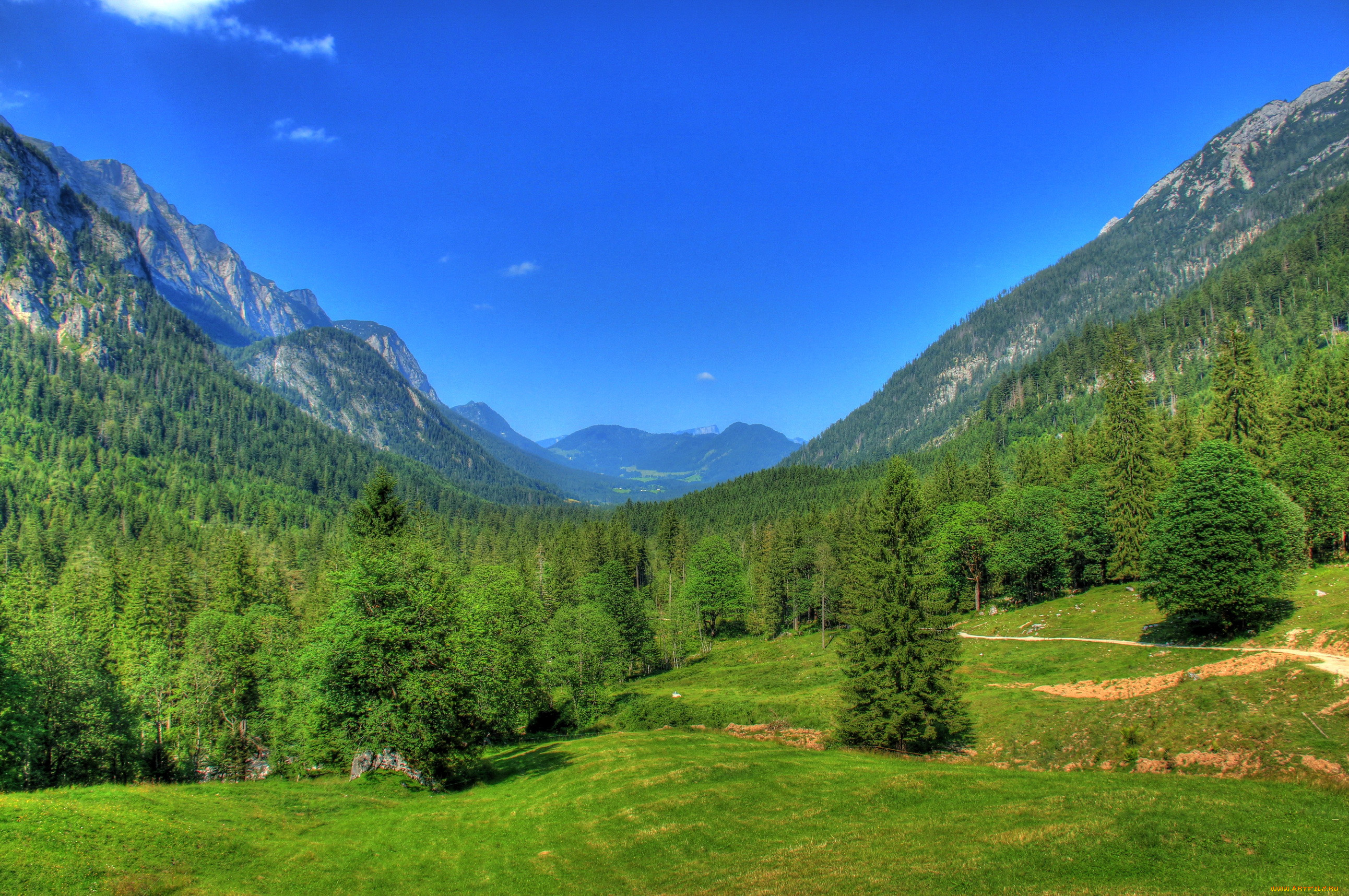 Les. Бавария Германия баварский лес. Бавария Германия природа Вильдштайгер. Баварский лес горы. Баварский ландшафт.